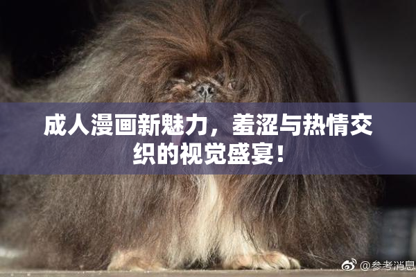 成人漫画新魅力，羞涩与热情交织的视觉盛宴！