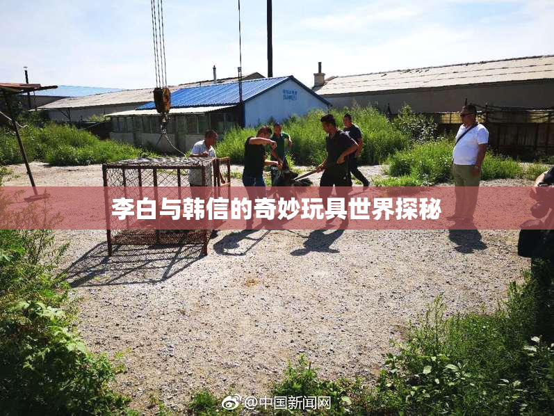 李白与韩信的奇妙玩具世界探秘