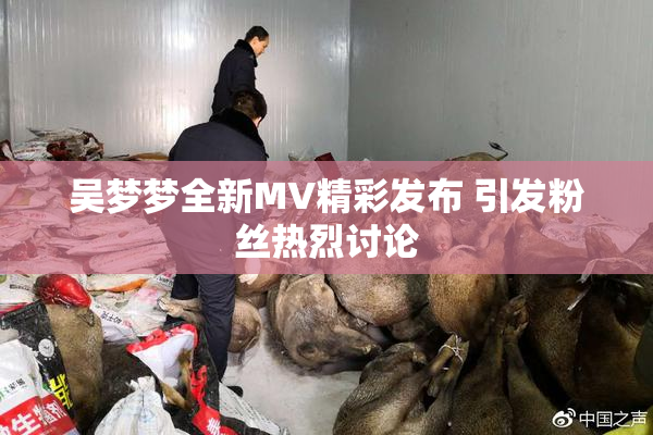 吴梦梦全新MV精彩发布 引发粉丝热烈讨论
