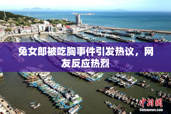 兔女郎被吃胸事件引发热议，网友反应热烈