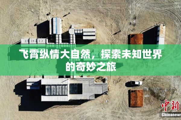 飞霄纵情大自然，探索未知世界的奇妙之旅