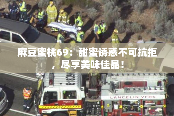 麻豆蜜桃69：甜蜜诱惑不可抗拒，尽享美味佳品！