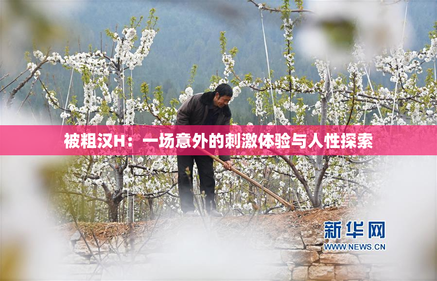 被粗汉H：一场意外的刺激体验与人性探索