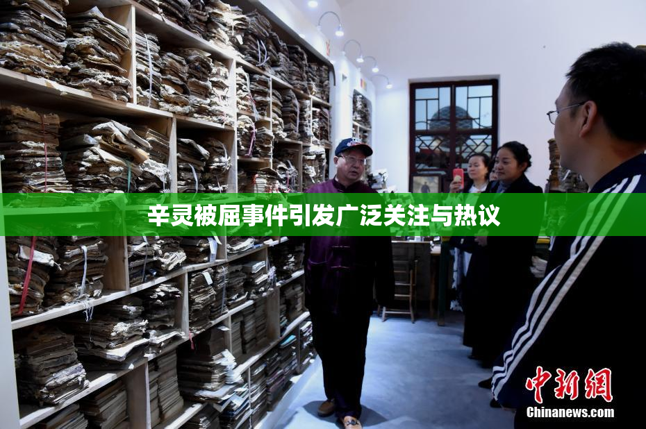 辛灵被屈事件引发广泛关注与热议