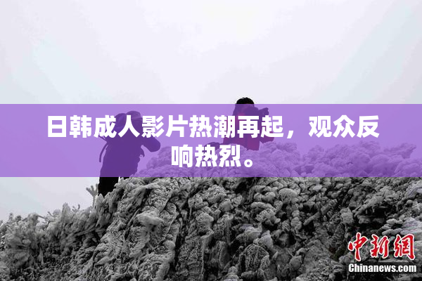 日韩成人影片热潮再起，观众反响热烈。