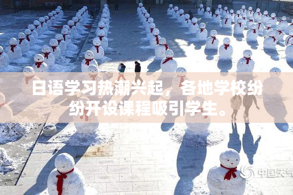 日语学习热潮兴起，各地学校纷纷开设课程吸引学生。