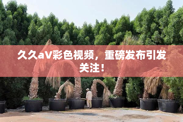 久久aV彩色视频，重磅发布引发关注！
