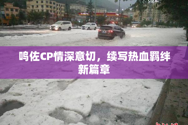 鸣佐CP情深意切，续写热血羁绊新篇章