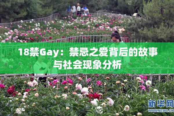 18禁Gay：禁忌之爱背后的故事与社会现象分析