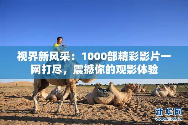 视界新风采：1000部精彩影片一网打尽，震撼你的观影体验
