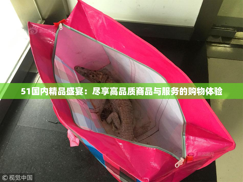 51国内精品盛宴：尽享高品质商品与服务的购物体验