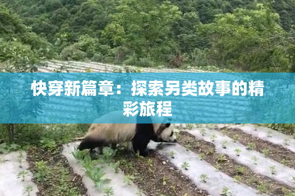 快穿新篇章：探索另类故事的精彩旅程