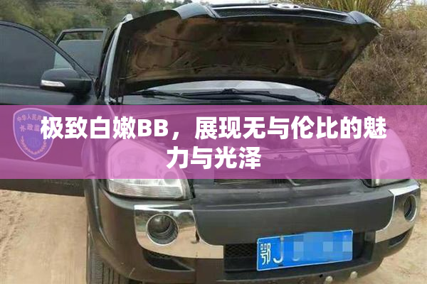 极致白嫩BB，展现无与伦比的魅力与光泽