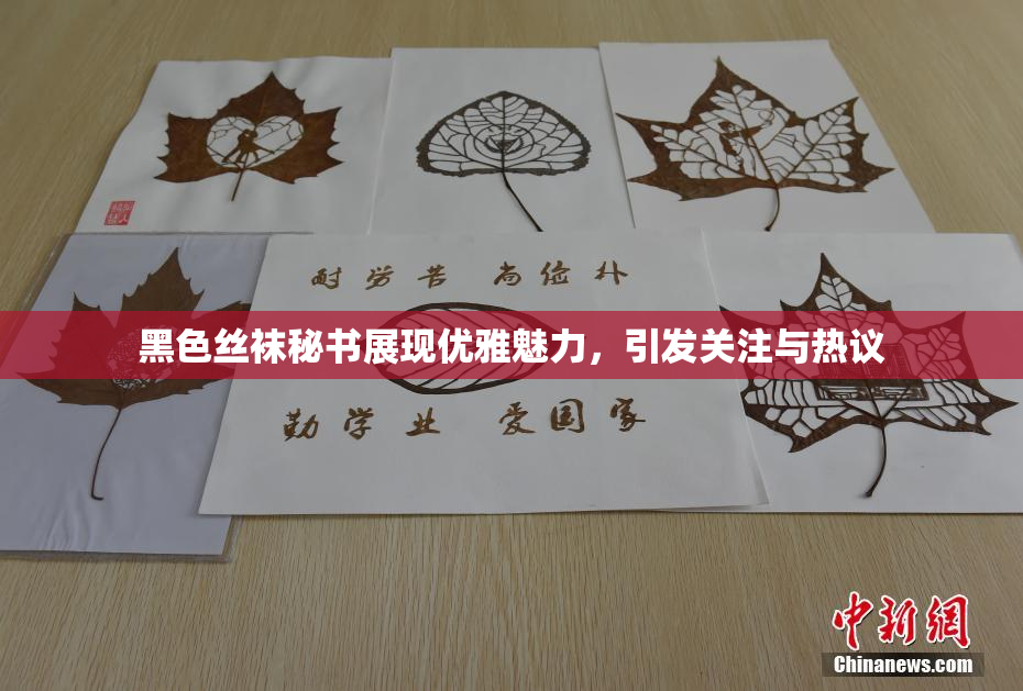 黑色丝袜秘书展现优雅魅力，引发关注与热议
