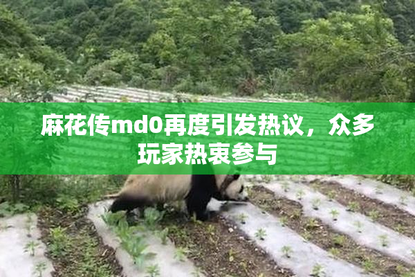 麻花传md0再度引发热议，众多玩家热衷参与