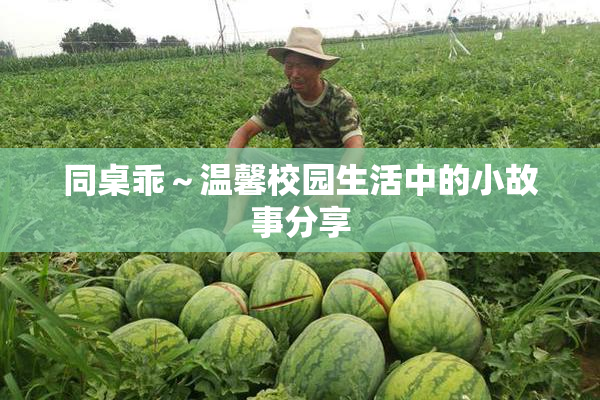 同桌乖～温馨校园生活中的小故事分享