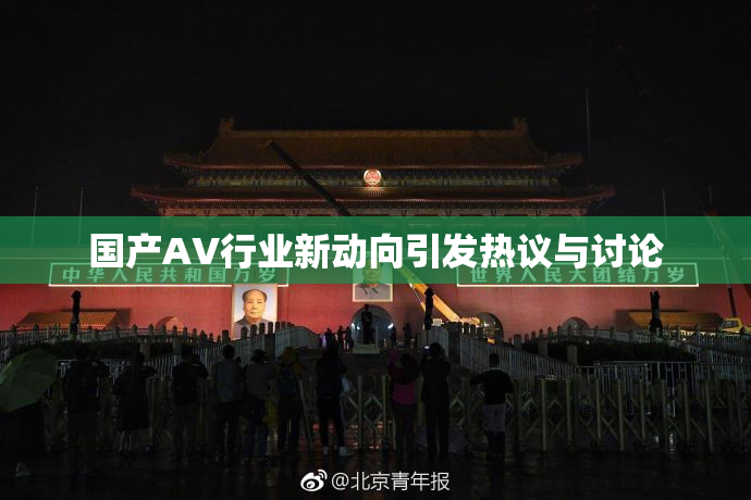 国产AV行业新动向引发热议与讨论