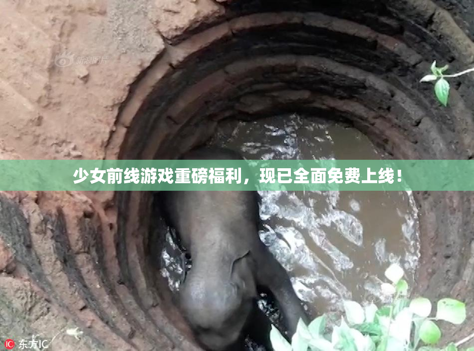 少女前线游戏重磅福利，现已全面免费上线！
