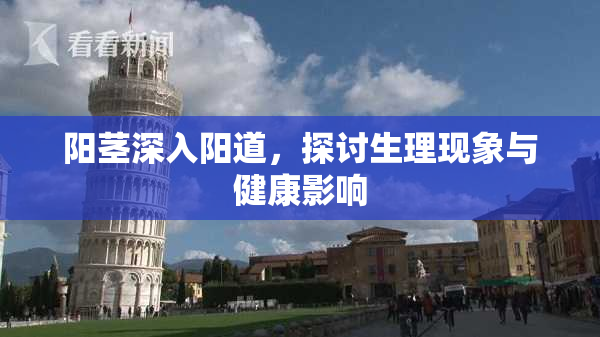 阳茎深入阳道，探讨生理现象与健康影响