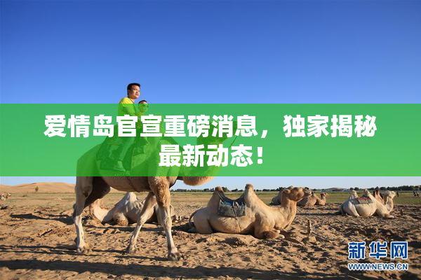 爱情岛官宣重磅消息，独家揭秘最新动态！