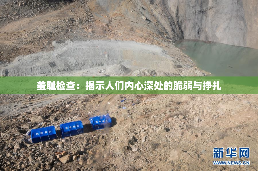 羞耻检查：揭示人们内心深处的脆弱与挣扎