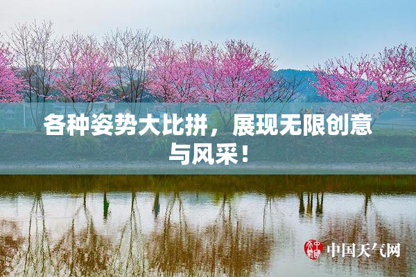 各种姿势大比拼，展现无限创意与风采！
