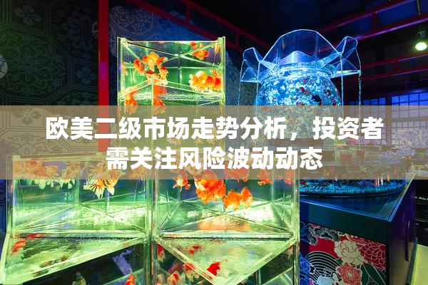 欧美二级市场走势分析，投资者需关注风险波动动态