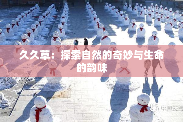 久久草：探索自然的奇妙与生命的韵味