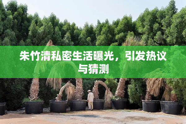 朱竹清私密生活曝光，引发热议与猜测