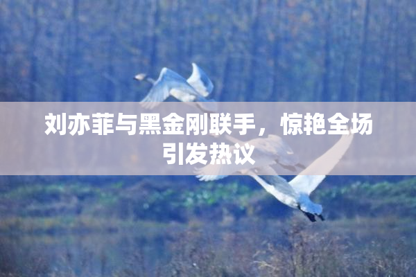 刘亦菲与黑金刚联手，惊艳全场引发热议