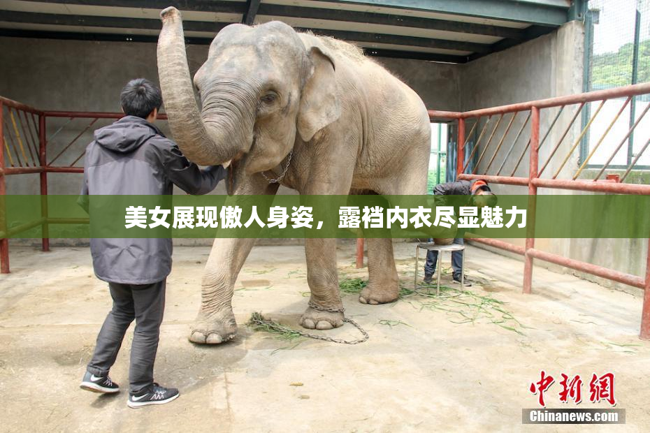 美女展现傲人身姿，露裆内衣尽显魅力
