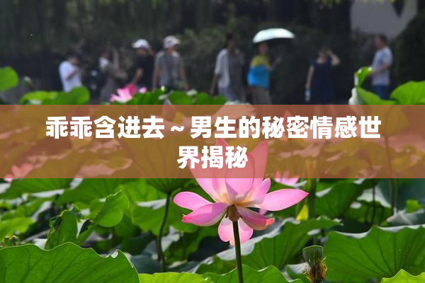 乖乖含进去～男生的秘密情感世界揭秘