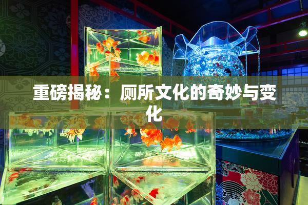 重磅揭秘：厕所文化的奇妙与变化