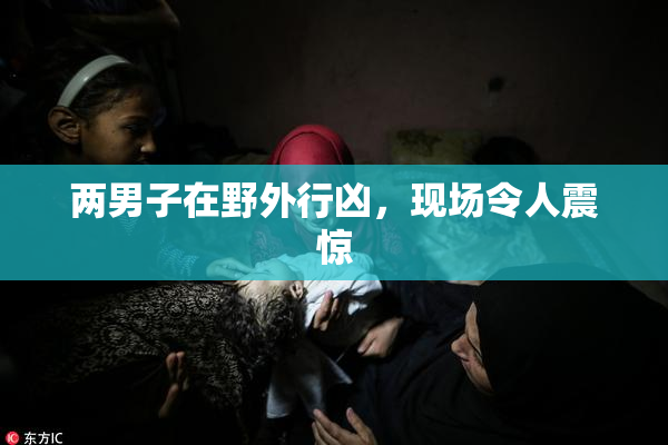 两男子在野外行凶，现场令人震惊