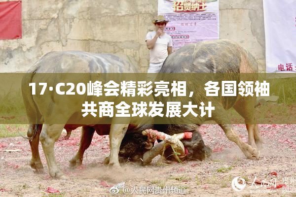 17·C20峰会精彩亮相，各国领袖共商全球发展大计