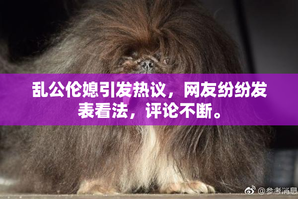乱公伦媳引发热议，网友纷纷发表看法，评论不断。