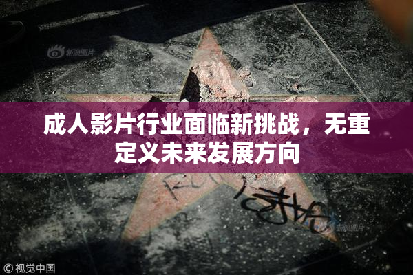 成人影片行业面临新挑战，无重定义未来发展方向