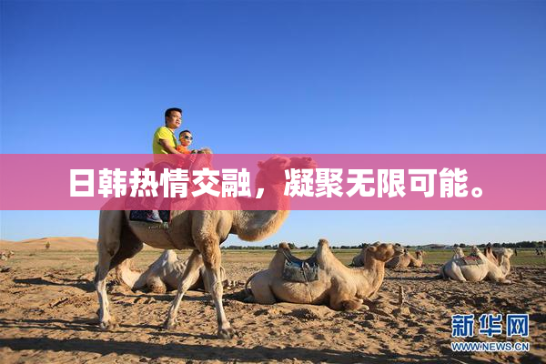日韩热情交融，凝聚无限可能。
