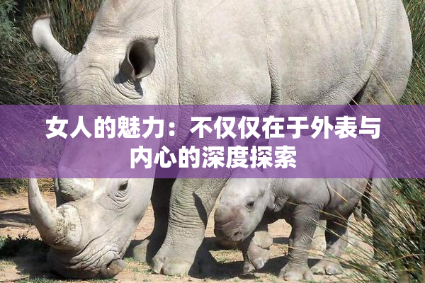 女人的魅力：不仅仅在于外表与内心的深度探索