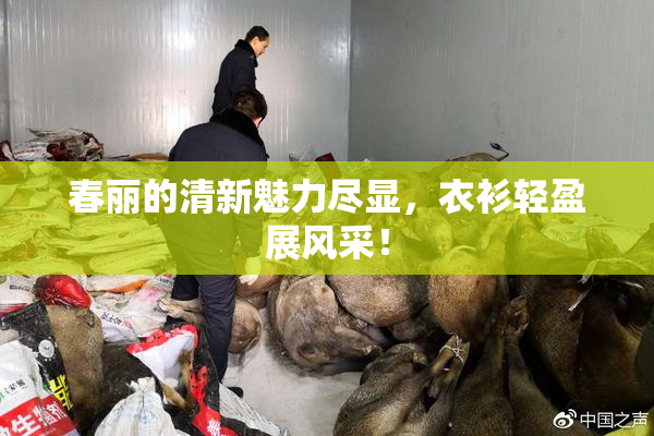 春丽的清新魅力尽显，衣衫轻盈展风采！