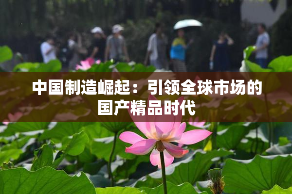 中国制造崛起：引领全球市场的国产精品时代