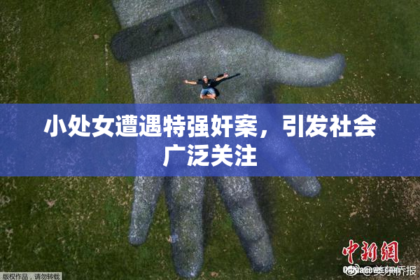 小处女遭遇特强奸案，引发社会广泛关注