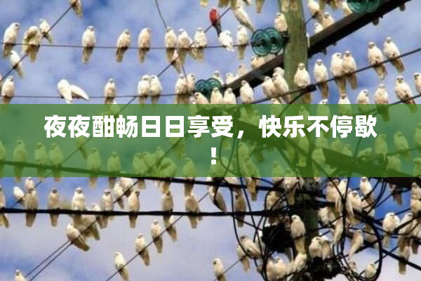 夜夜酣畅日日享受，快乐不停歇！