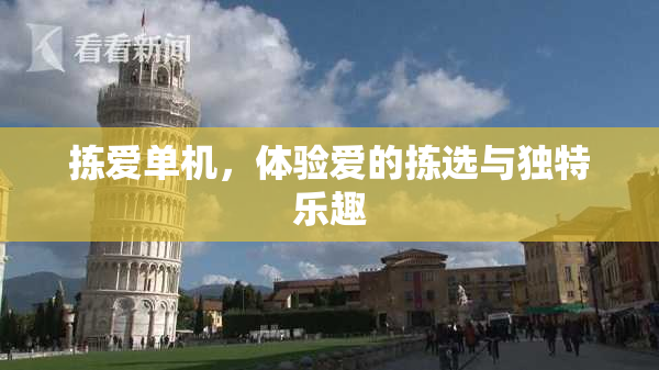 拣爱单机，体验爱的拣选与独特乐趣