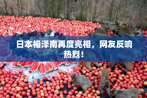 日本相泽南再度亮相，网友反响热烈！