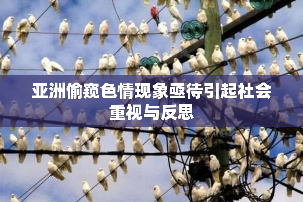亚洲偷窥色情现象亟待引起社会重视与反思