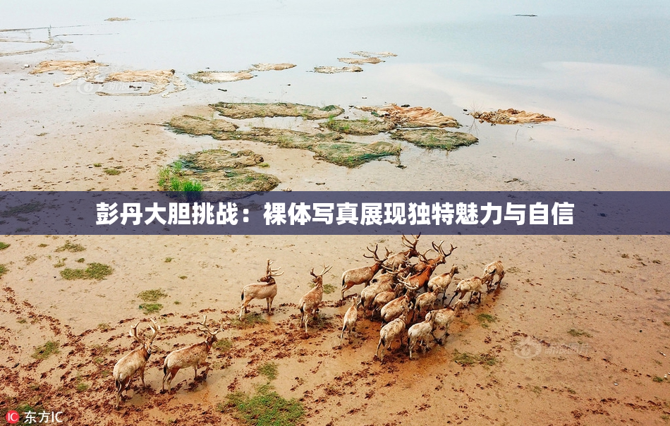 彭丹大胆挑战：裸体写真展现独特魅力与自信