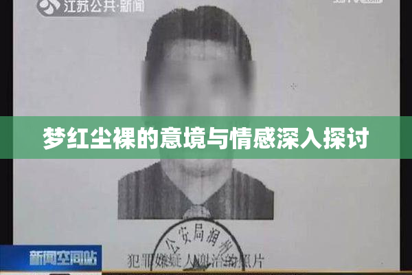 梦红尘裸的意境与情感深入探讨