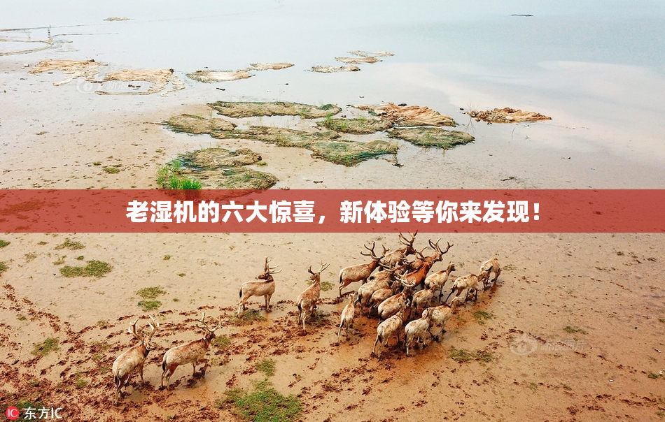 老湿机的六大惊喜，新体验等你来发现！