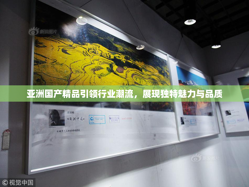 亚洲国产精品引领行业潮流，展现独特魅力与品质
